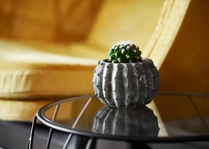 Otel Mittermeiers Alter Ego